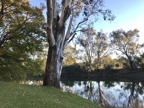 The Botanical 201 - Accommodation Perth 18