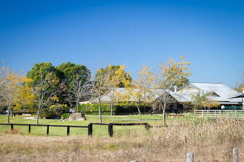 Potters Apartments - Accommodation Perth 26
