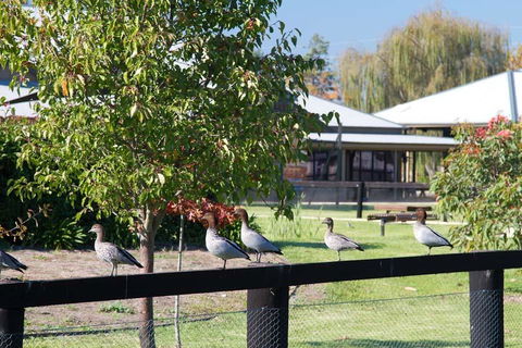 Potters Apartments - Accommodation Perth 25