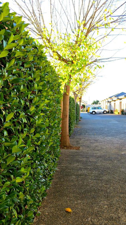 Best Western Plus Goulburn - Perth Resorts 37
