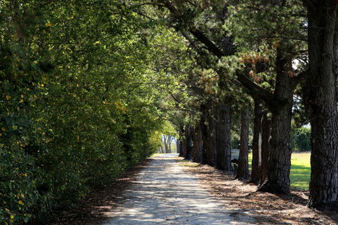 Terara Riverside Retreat - Perth Resorts 26