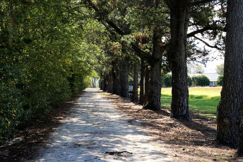 Terara Riverside Retreat - Perth Resorts 30