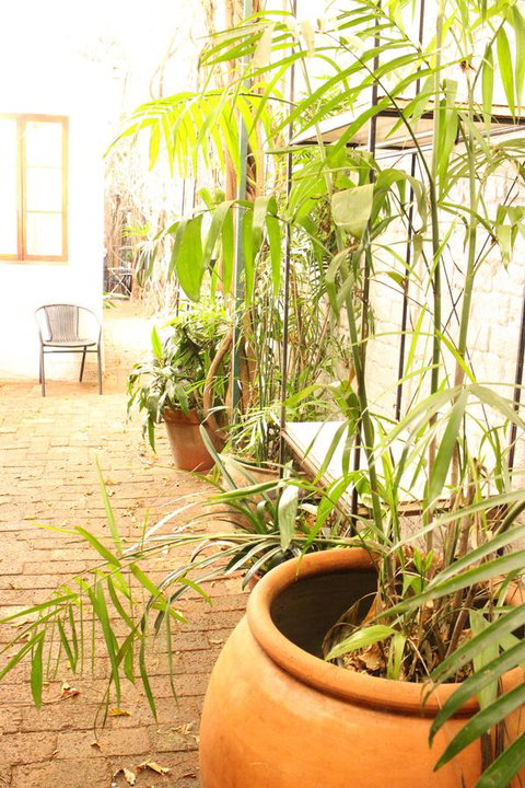 Newtown Cozy Stays - Accommodation Perth 10