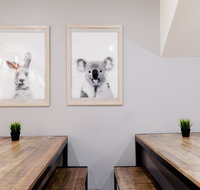 Mad Monkey Backpackers on Broadway - Accommodation Perth