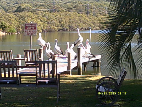 Pelican H2O One & Two Bedroom Apartments - Accommodation Perth 9