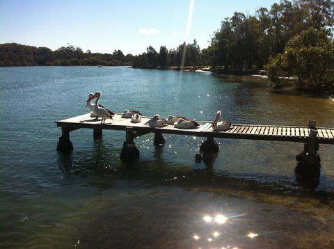 Pelican H2O One & Two Bedroom Apartments - Accommodation Perth 5