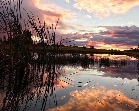 Madigan Wine Country Cottages - Accommodation Perth 16
