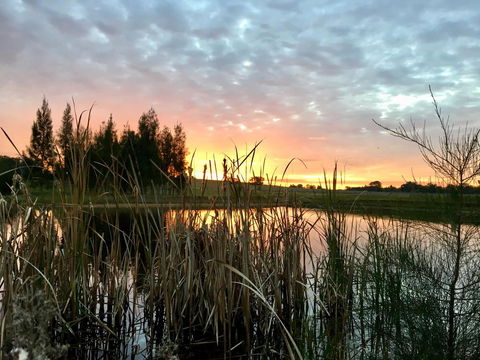 Madigan Wine Country Cottages - Accommodation Perth 14