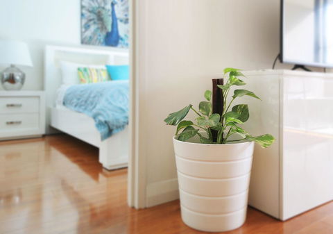 Sydney Apartment Close To Airport & CBD - Accommodation Perth 7