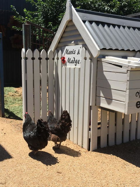 Thelma's Temora - Perth Resorts 12