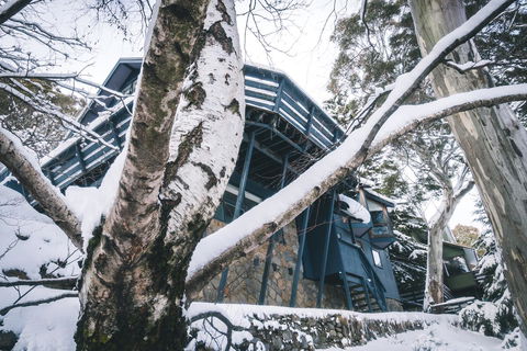 Pure Chalet Thredbo - Accommodation Perth 21