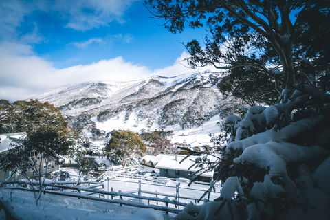 Pure Chalet Thredbo - Accommodation Perth 31
