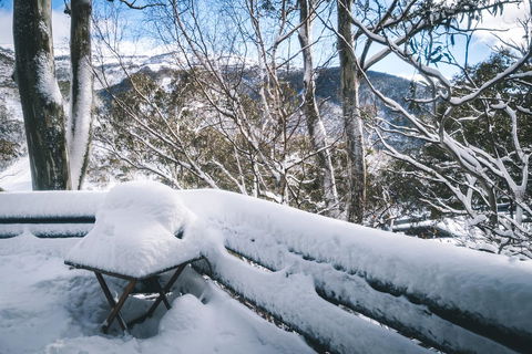 Pure Chalet Thredbo - Accommodation Perth 19