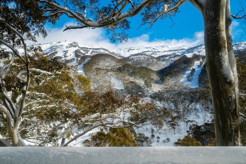Pure Chalet Thredbo - Accommodation Perth 17