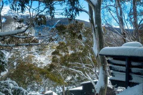 Pure Chalet Thredbo - Accommodation Perth 30