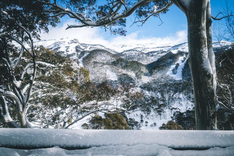 Pure Chalet Thredbo - Accommodation Perth 2