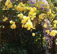 Bowral Road Bed and Breakfast - Perth Resorts