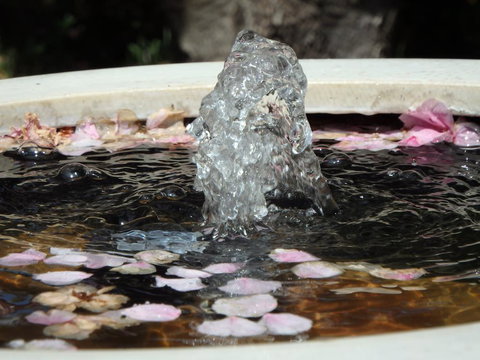 Bowral Road Bed And Breakfast - Perth Resorts 2