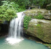 Buderim Forest Hideaway - Accommodation Perth
