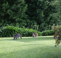 Bundanoon 2578 - Perth Resorts