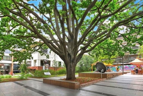 Canberra Luxury Apartment 8 - Accommodation Perth 1