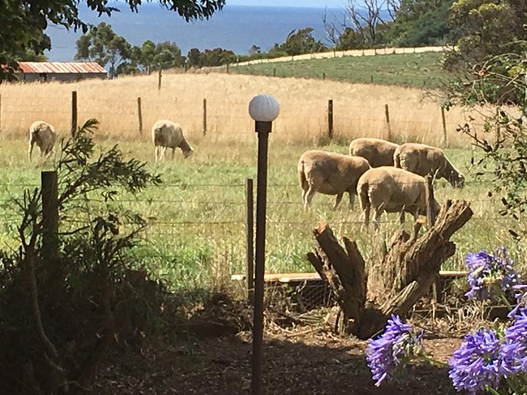 Table Cape TAS Perth Resorts