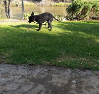 Captain's Cottage Bed  Breakfast - Accommodation Perth
