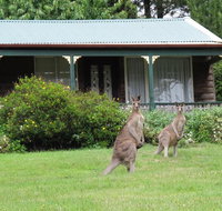 Cedar Lodge Cabins - Perth Resorts