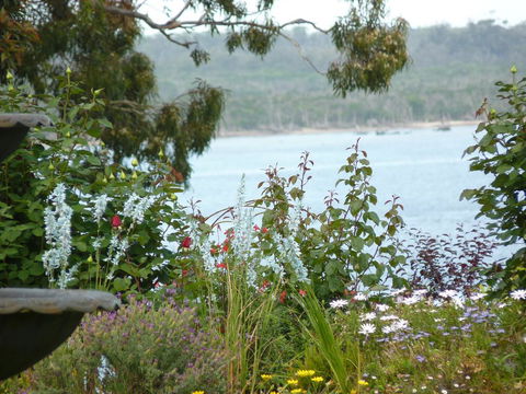 Clovelly Cottage - Accommodation Perth 3