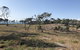 COONARR BEACH ( BUNDABERG )CAMPING - thumb 2