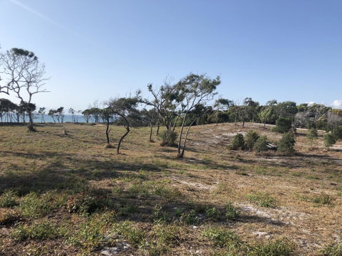 COONARR BEACH ( BUNDABERG )CAMPING - Accommodation Perth 2
