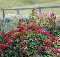 Country Mile Escape - Perth Resorts