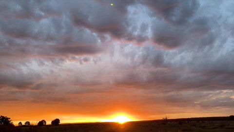 Creative 3D Sculpture Share - Perth Resorts 0