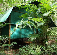 Daintree Crocodylus - Accommodation Perth