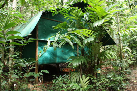 Daintree Crocodylus - Accommodation Perth 0