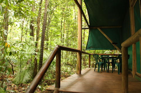 Daintree Crocodylus - Accommodation Perth 1