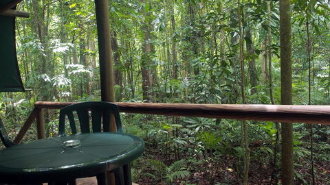 Daintree Crocodylus - Accommodation Perth 2