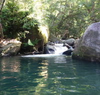 Daintree Secrets Rainforest Sanctuary - Accommodation Perth