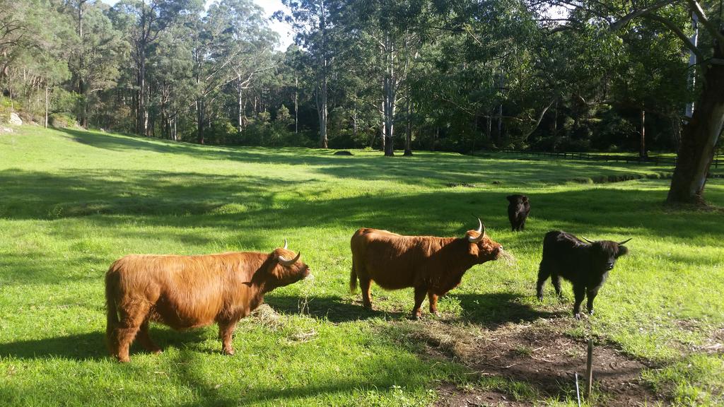 Kenthurst NSW Accommodation Perth
