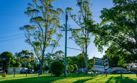 Book Dorrigo Accommodation Vacations Accommodation Perth Accommodation Perth