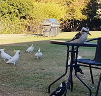 Eildon Parkview Motor Inn - Accommodation Perth