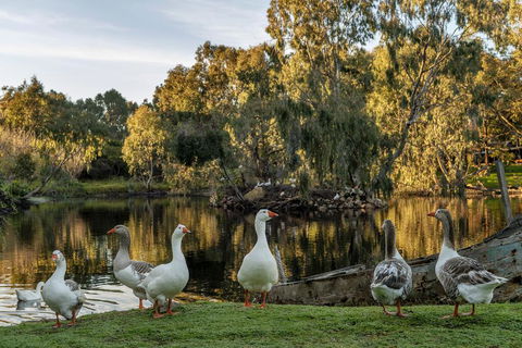 Empire Spa Retreat - Accommodation Perth 2