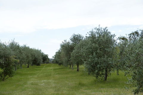 Empire Spa Retreat - Accommodation Perth 1