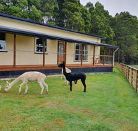 Farm Stay Lowana Strahan - Accommodation Perth