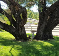 Farm Stay Studio - Perth Resorts