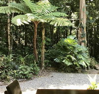 Forest Views Daintree - Accommodation Perth