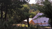 Book Zeehan Accommodation Vacations Perth Resorts Perth Resorts