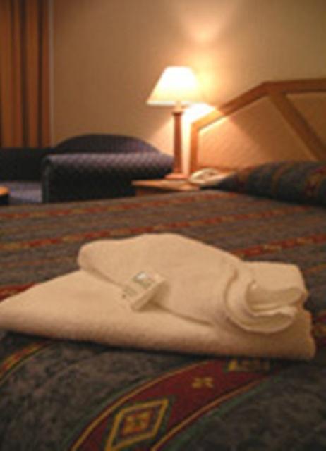 Goulburn Central Motor Lodge - Perth Resorts 3