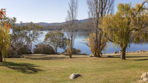 Grey Kangaroo- On Lake Jindabyne Foreshore - Accommodation Perth 1
