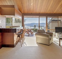 Grey Kangaroo- On Lake Jindabyne foreshore - Accommodation Perth